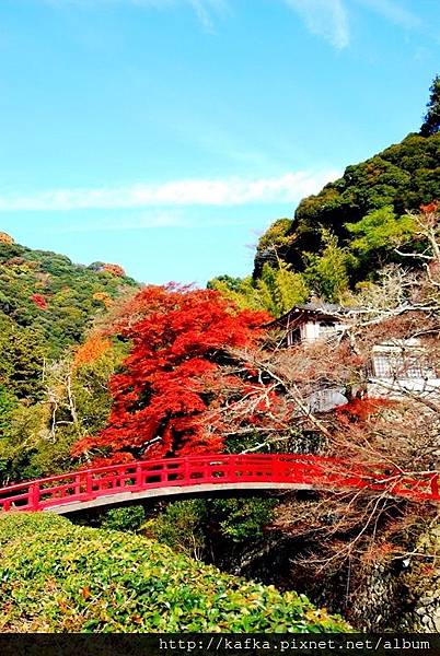 DSC_9241.JPG DSC_9241.JPG