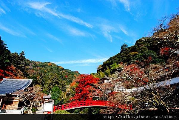 DSC_9242.JPG DSC_9242.JPG