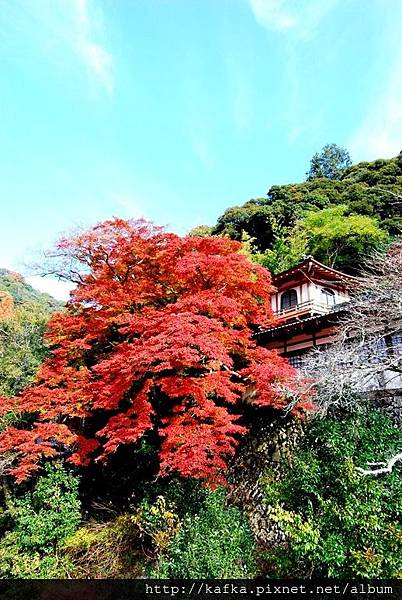 DSC_9262.JPG DSC_9262.JPG