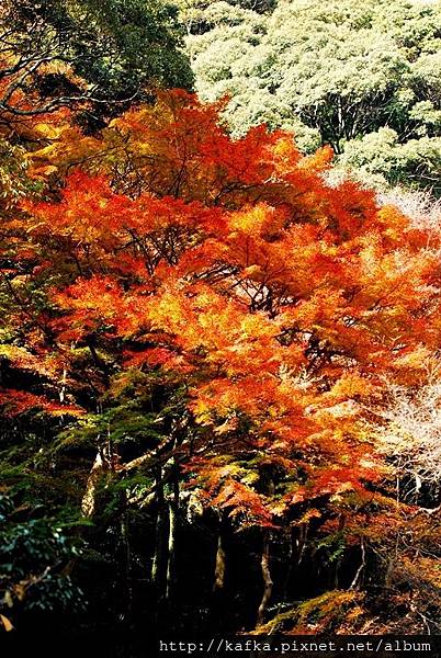 DSC_9612.JPG DSC_9612.JPG