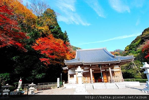 DSC_9253.JPG DSC_9253.JPG