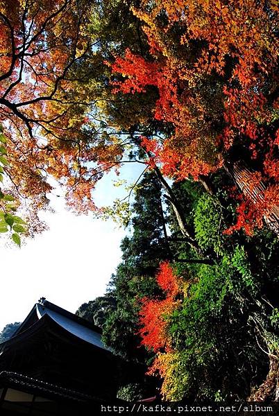 DSC_9289.JPG DSC_9289.JPG