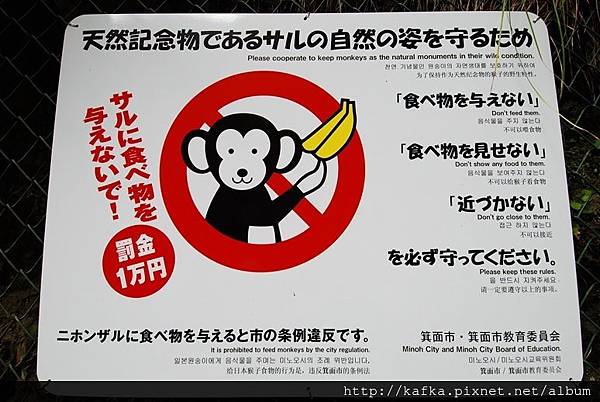 DSC_9297.JPG DSC_9297.JPG