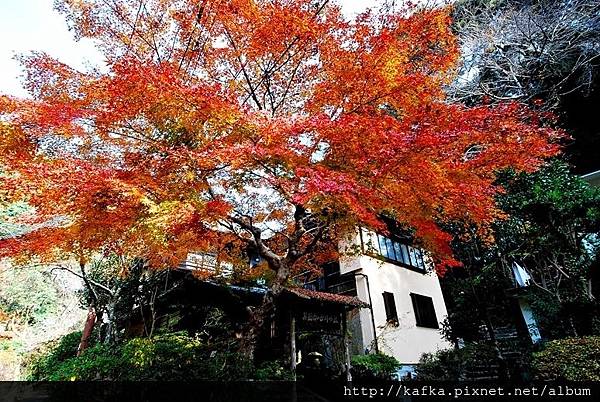 DSC_9273.JPG DSC_9273.JPG