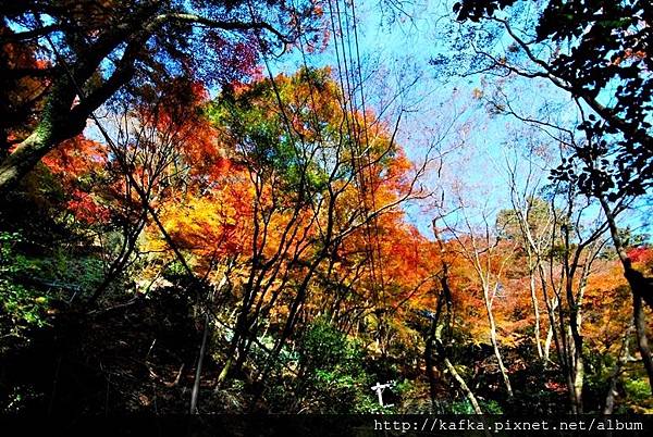 DSC_9301.JPG DSC_9301.JPG