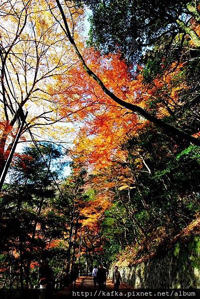 DSC_9294.JPG DSC_9294.JPG