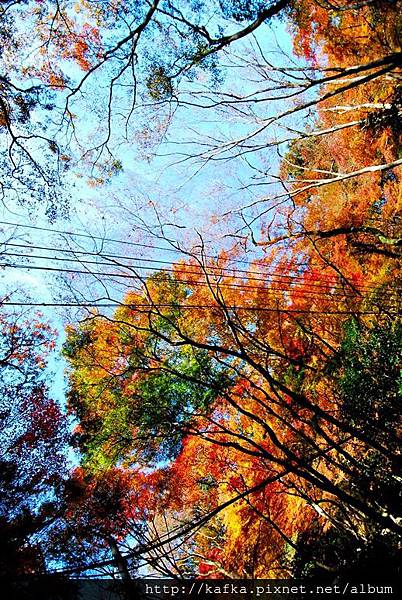 DSC_9304.JPG DSC_9304.JPG