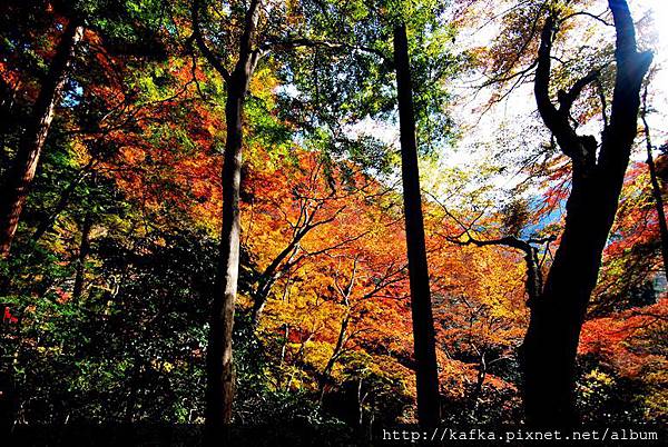 DSC_9309.JPG DSC_9309.JPG