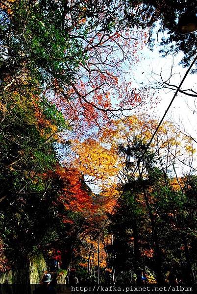 DSC_9292.JPG DSC_9292.JPG