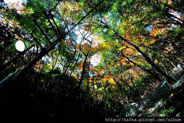 DSC_9314.JPG DSC_9314.JPG