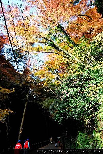 DSC_9324.JPG DSC_9324.JPG