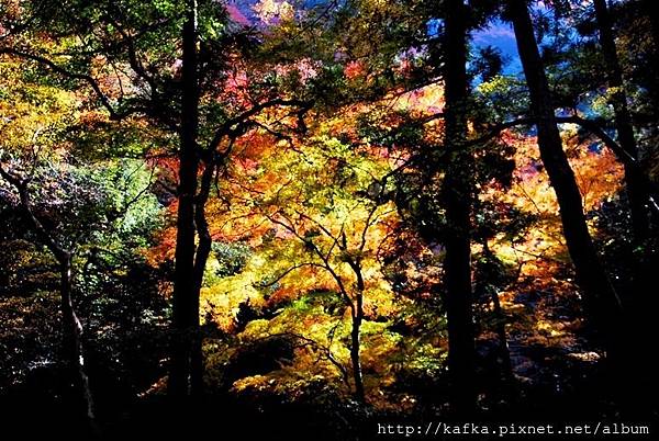 DSC_9321.JPG DSC_9321.JPG