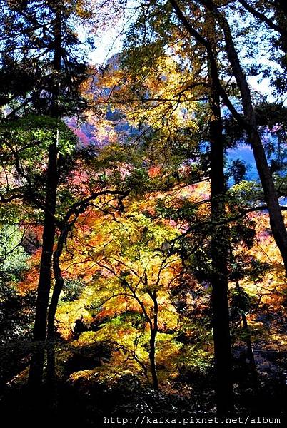 DSC_9322.JPG DSC_9322.JPG