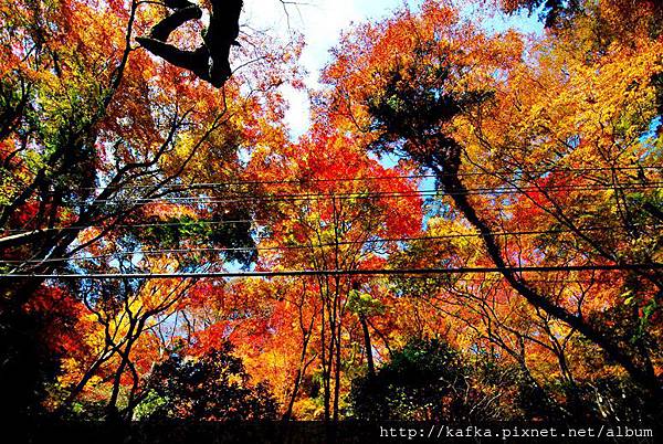 DSC_9308.JPG DSC_9308.JPG