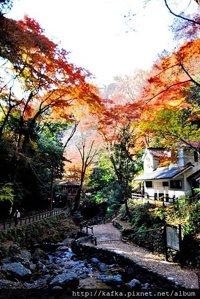 DSC_9336.JPG DSC_9336.JPG