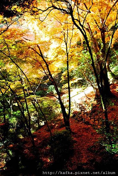 DSC_9331.JPG DSC_9331.JPG