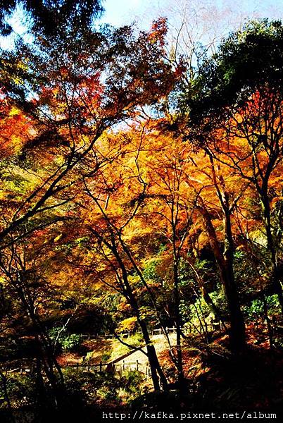 DSC_9329.JPG DSC_9329.JPG