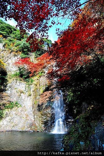 DSC_9352.JPG DSC_9352.JPG