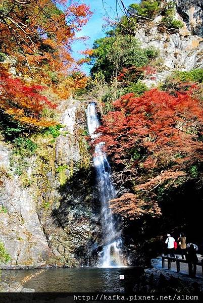 DSC_9346.JPG DSC_9346.JPG