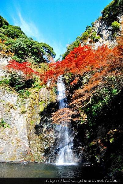 DSC_9356.JPG DSC_9356.JPG