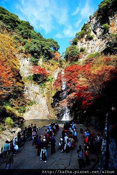 DSC_9372.JPG DSC_9372.JPG