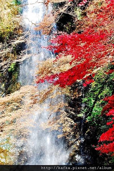 DSC_9379.JPG DSC_9379.JPG