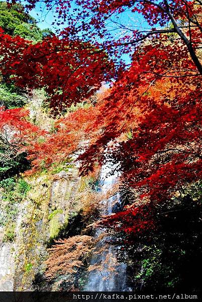 DSC_9347.JPG DSC_9347.JPG