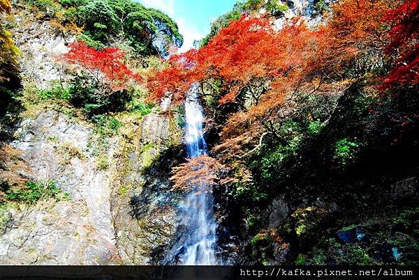 DSC_9363.JPG DSC_9363.JPG