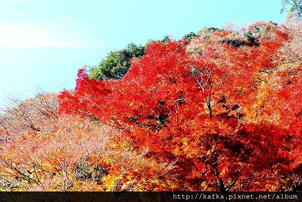 DSC_9384.JPG DSC_9384.JPG