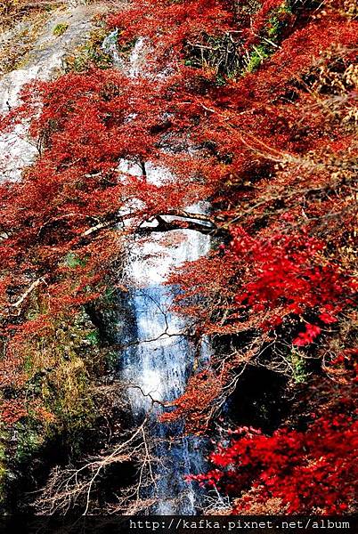 DSC_9380.JPG DSC_9380.JPG