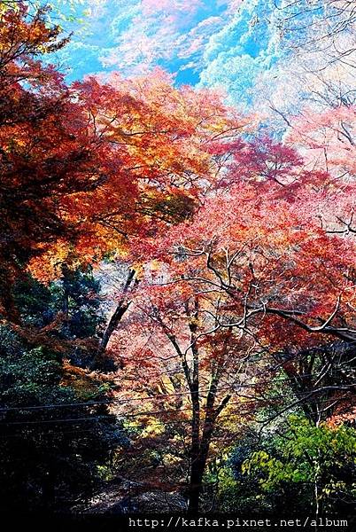 DSC_9387.JPG DSC_9387.JPG