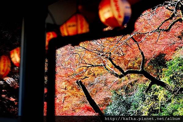 DSC_9408.JPG DSC_9408.JPG