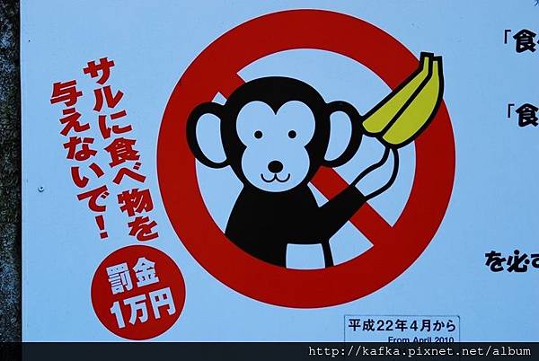 DSC_9405.JPG DSC_9405.JPG