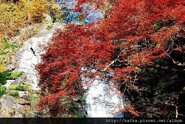 DSC_9413.JPG DSC_9413.JPG