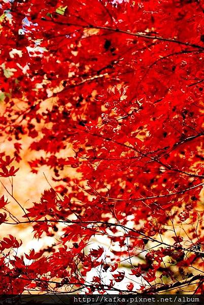 DSC_9422.JPG DSC_9422.JPG