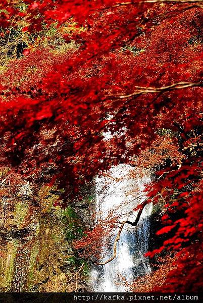 DSC_9425.JPG DSC_9425.JPG