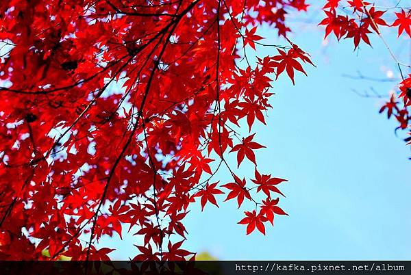 DSC_9424.JPG DSC_9424.JPG