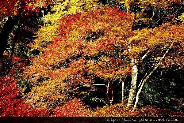 DSC_9417.JPG DSC_9417.JPG