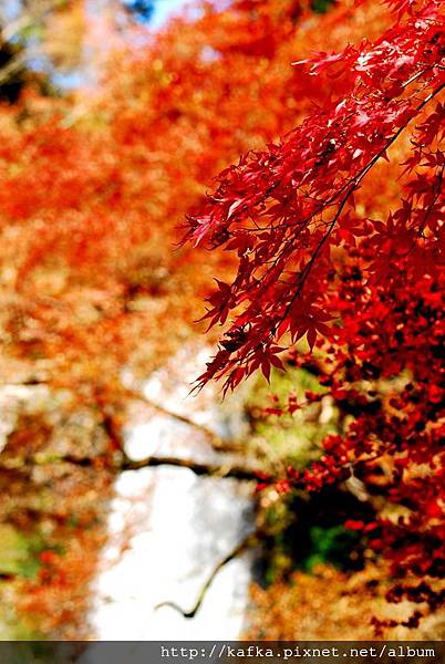 DSC_9445.JPG DSC_9445.JPG