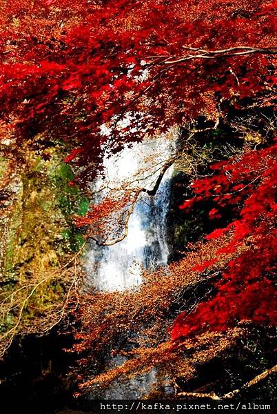 DSC_9428.JPG DSC_9428.JPG