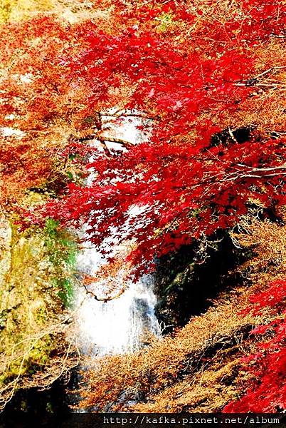 DSC_9458.JPG DSC_9458.JPG