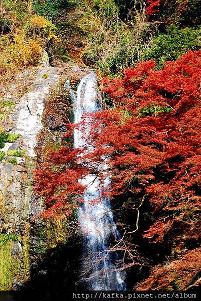 DSC_9460.JPG DSC_9460.JPG