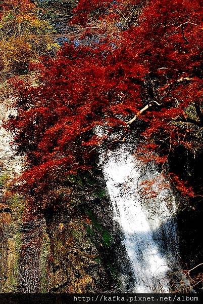 DSC_9420.JPG DSC_9420.JPG