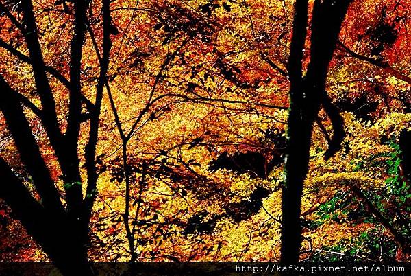 DSC_9472.JPG DSC_9472.JPG