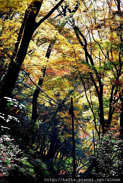 DSC_9469.JPG DSC_9469.JPG