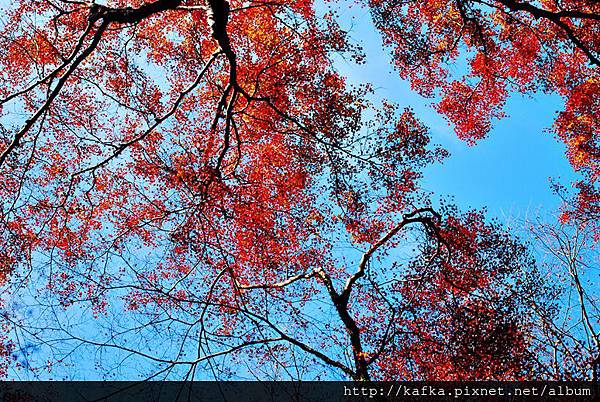 DSC_9465.JPG DSC_9465.JPG