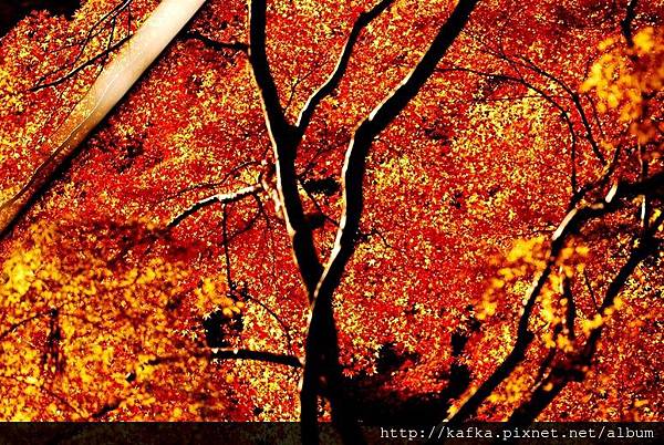 DSC_9478.JPG DSC_9478.JPG