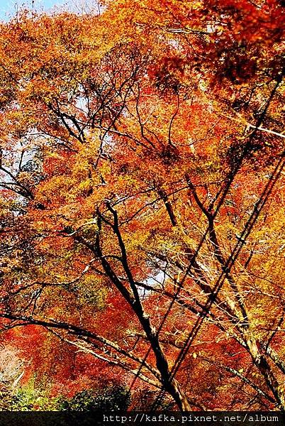 DSC_9491.JPG DSC_9491.JPG