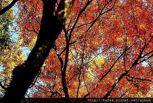 DSC_9485.JPG DSC_9485.JPG