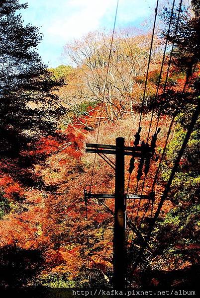 DSC_9493.JPG DSC_9493.JPG